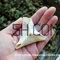 餃子和面用熱水還是冷水？餃子和面要醒多長時間？