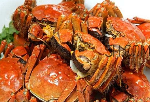 孕婦吃螃蟹多久流產(chǎn)？孕婦吃多少螃蟹會流產(chǎn)？