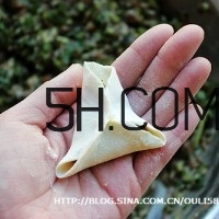怎么包餃子快又好看？十種家常包餃子的方法~