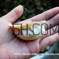 餃子和面用熱水還是冷水？餃子和面要醒多長時間？