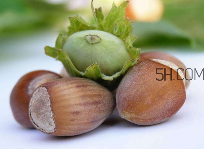 榛子生吃好還是熟吃好？榛子怎么吃營養(yǎng)價(jià)值高？