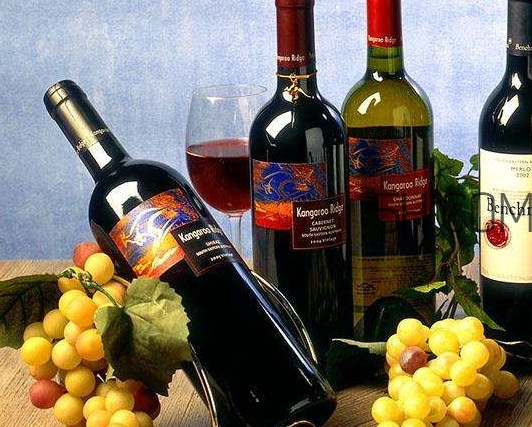 小孩能不能喝葡萄酒？高血糖能不能喝葡萄酒