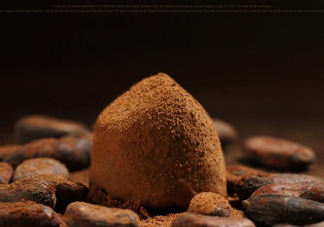 松露巧克力哪個(gè)牌子好？松露巧克力多少錢一盒