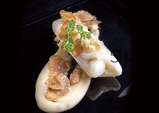 白松露是什么？白松露的功效與作用