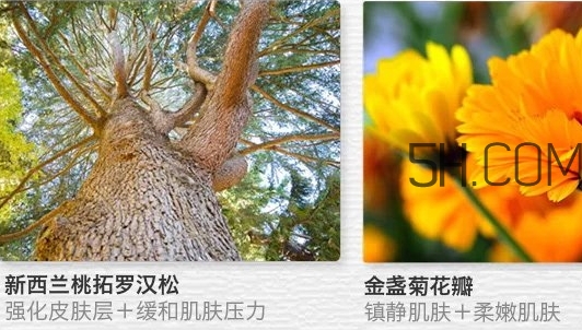 the saem得鮮眼霜適合什么年齡？得鮮眼霜怎么樣？