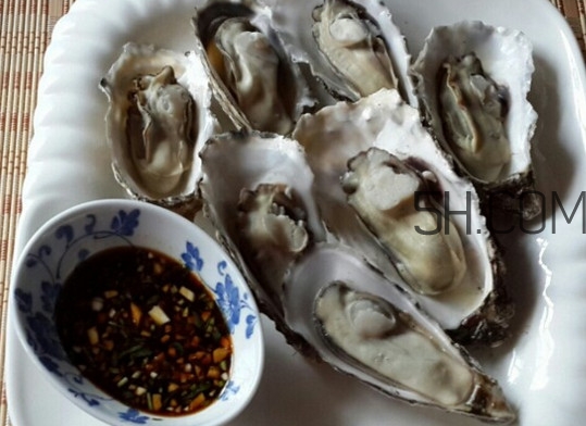 æµ·è £å­ä»€ä¹ˆæ™‚å€™æœ€è‚¥ï¼Ÿæµ·è £å­ä»€ä¹ˆåœ°æ–¹ä¸èƒ½åƒ