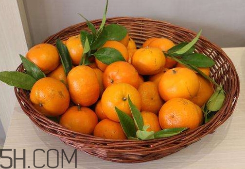 沃柑苗多少錢(qián)一株？沃柑為何叫晚熟大王