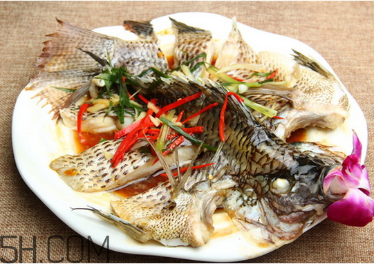 沒(méi)有魚(yú)刺的魚(yú)是哪種魚(yú)？如何挑選魚(yú)？