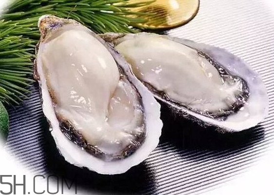 海蠣子是寒性的嗎？海蠣子是蒸還是煮好吃