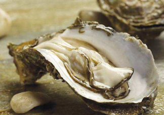 海蠣子是生蠔嗎？海蠣子和生蠔的區(qū)別