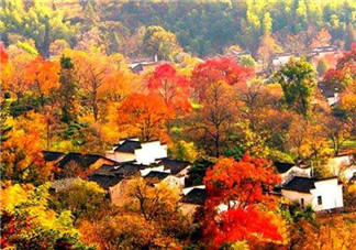 秋季滋補養(yǎng)生越補越好嗎？2017年秋天是幾月份？