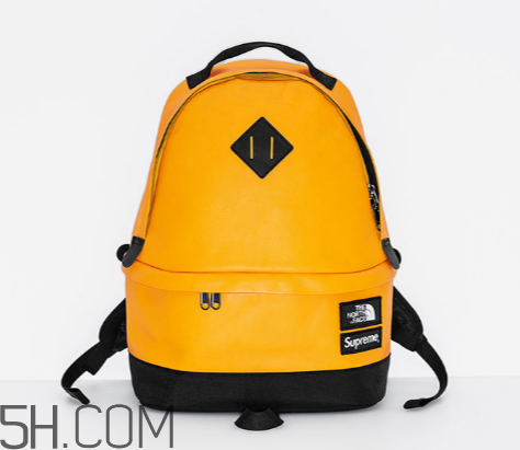 supreme與the north face2017秋冬聯(lián)名發(fā)售時間_多少錢？