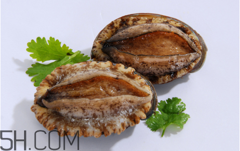 鮑魚吃了會上火嗎？鮑魚是發(fā)物嗎？