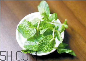 感冒可以喝酒嗎？薄荷治療感冒的方法