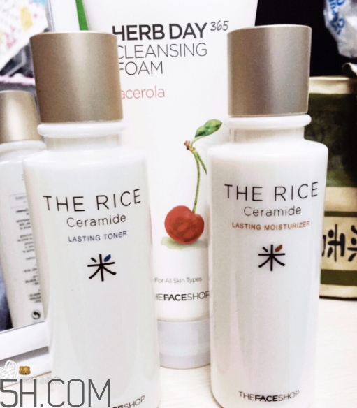 菲詩小鋪水乳怎么樣？菲詩小鋪水乳哪個好用？