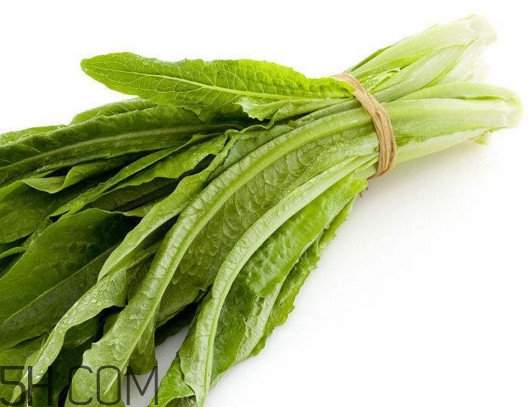 油麥菜怎么做好吃？油麥菜怎么種植