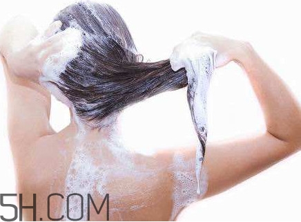 醋洗頭是白醋還是陳醋？用醋洗頭要用洗發(fā)水嗎？