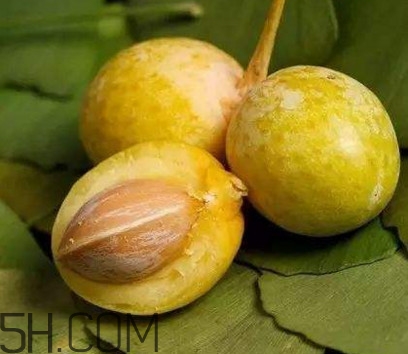 白果沒熟吃了會(huì)怎么樣？白果熟了是什么樣子的