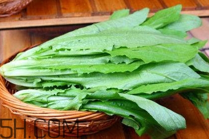 油麥菜是轉(zhuǎn)基因蔬菜嗎？油麥菜是發(fā)物嗎