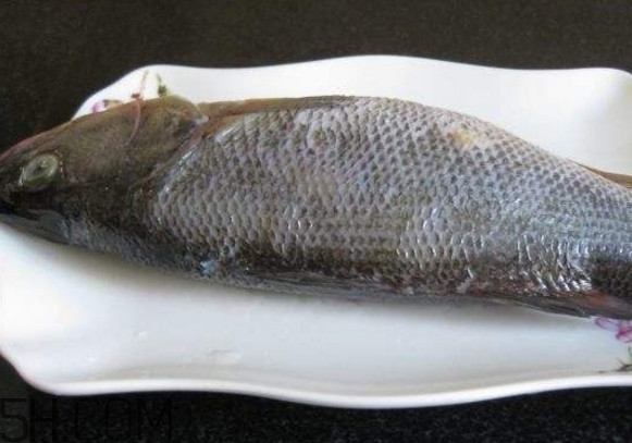 鮭魚是三文魚嗎？鮭魚的營養(yǎng)價值