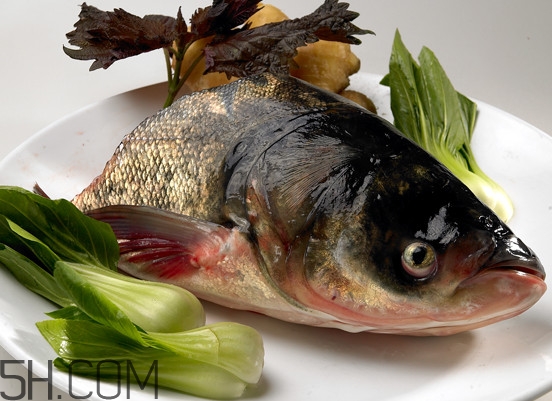 胖頭魚有什么營(yíng)養(yǎng)？胖頭魚是鰱魚嗎