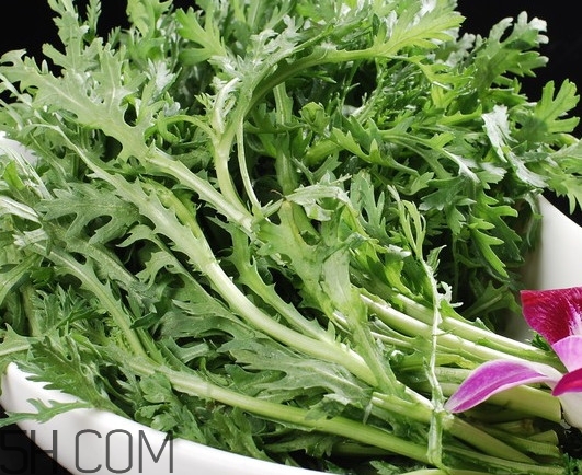 皇帝菜是什么樣子？皇帝菜又叫什么菜