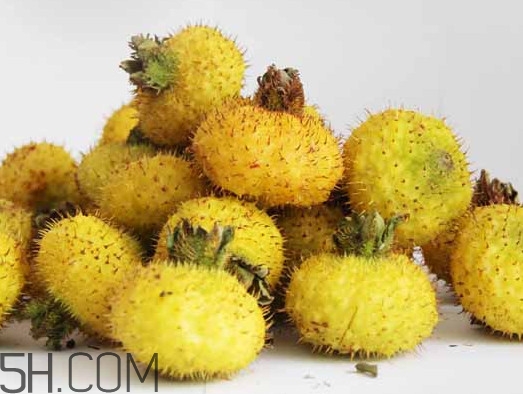 刺梨能降血壓嗎？刺梨是哪里的特產
