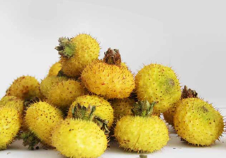 刺梨能降血壓嗎？刺梨是哪里的特產(chǎn)
