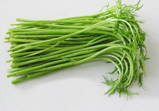 藜蒿多少錢一斤？藜蒿和蘆蒿是同一種菜嗎？