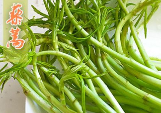 藜蒿什么季節(jié)有？藜蒿是發(fā)物嗎