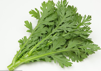 皇帝菜是什么樣子？皇帝菜又叫什么菜