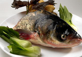 胖頭魚(yú)吃什么？胖頭魚(yú)怎么殺