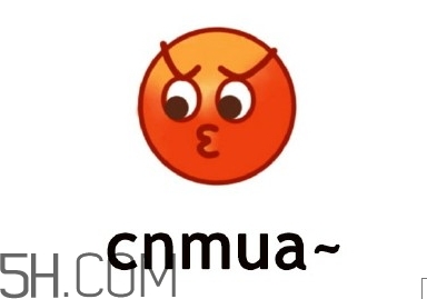 cnmua是什么意思？cnmua無(wú)水印表情包