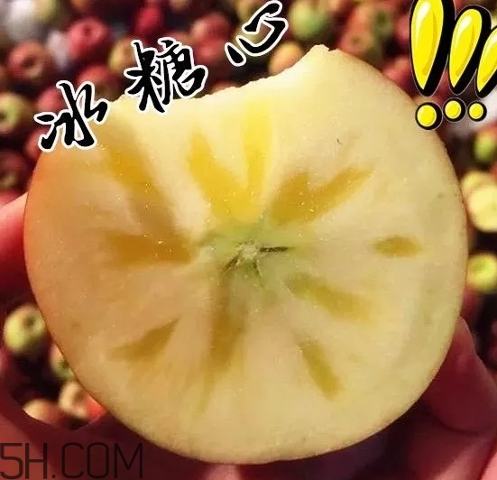 冰糖心蘋果什么時候采摘？冰糖心蘋果什么時候上市