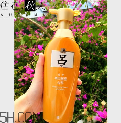 黃呂洗發(fā)水怎么樣？黃呂洗發(fā)水適合人群