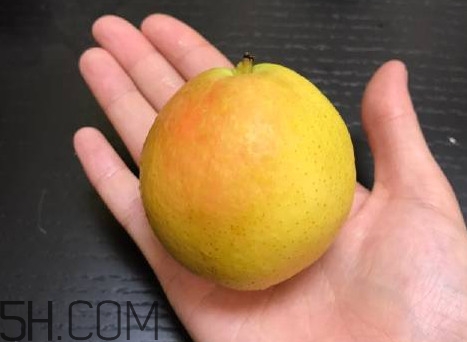 南果梨是寒性水果嗎？南果梨是涼性還是熱性