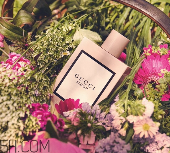 gucci bloom香水多少錢？gucci bloom香水專柜價(jià)格