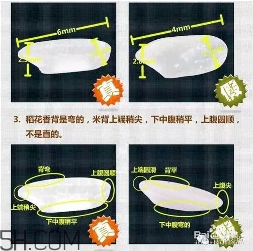 五常大米怎么辨別真假？五常大米和普通米的區(qū)別