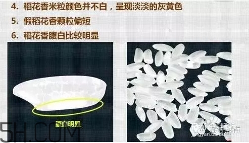 五常大米怎么辨別真假？五常大米和普通米的區(qū)別