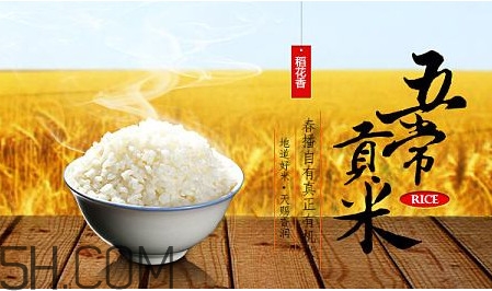 五常大米什么時候種植？五常大米是什么品種