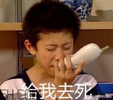 diediedie什么意思？diediedie表情包