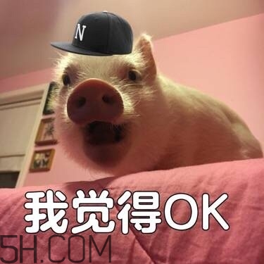 ojbk是什么意思？ojbk表情包