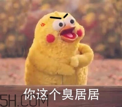 你個(gè)臭居居什么意思？你個(gè)臭居居表情包