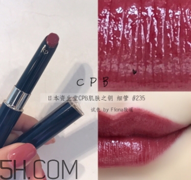 豬肝色口紅哪個牌子好？豬肝色口紅推薦