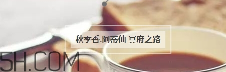 冬天適合什么香水？適合冬天的小眾香型香水推薦