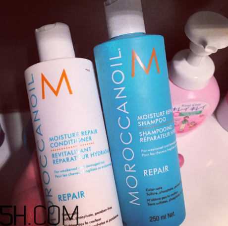 moroccanoil摩洛哥油洗發(fā)水怎么樣？摩洛哥油洗發(fā)水適合發(fā)質(zhì)