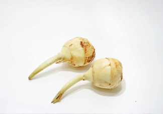 慈菇是發(fā)物嗎？慈菇是馬蹄嗎