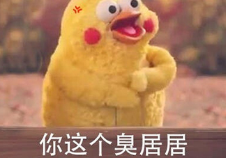 你個臭居居什么意思？你個臭居居表情包