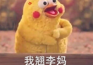 翹李媽什么意思？我翹李媽表情包