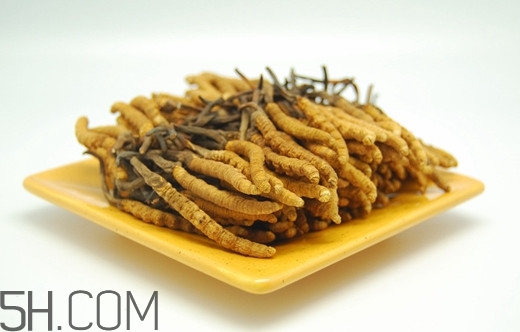 冬蟲(chóng)夏草有假的嗎？冬蟲(chóng)夏草不抗癌